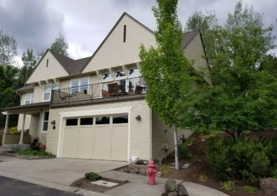 House Painting